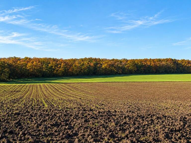 Terrain agricole — photo 1