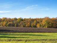 Terrain agricole — photo 2