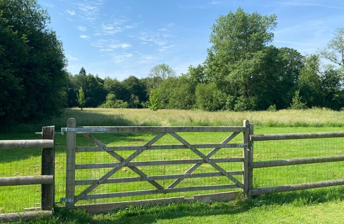 PROPRIÉTÉ D’EXCEPTION À DEUX PAS DE PONT-L’ÉVÊQUE – 1,65 HA DE LIBERTÉ — photo 5