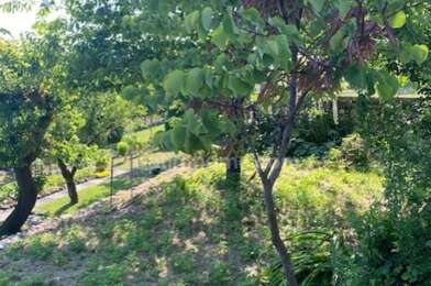 Maison 3 pièces 79000 €