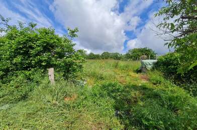 Terrain  19000 €