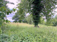 Authentique ! — photo 2