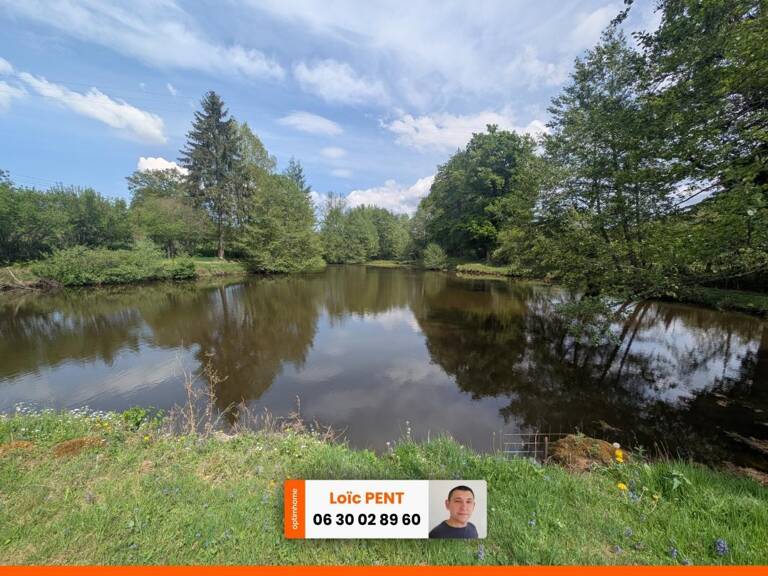 Etang à vendre sur un terrain de 26 033,00 m² LE MAYET DE MONTAGNE (03250) — photo 1