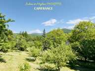 Propriété de 8 270 m² de terrain  – Maison 173 m² Habitables – Environnement Calme et Préservé ! — photo 2