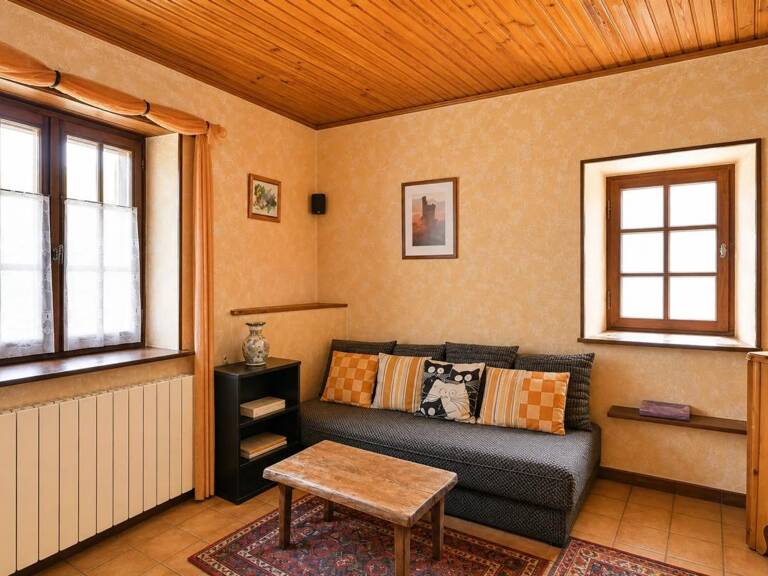 Maison de 10 pièces de 197 m² à Saint-Florent-sur-Auzonnet — photo 1