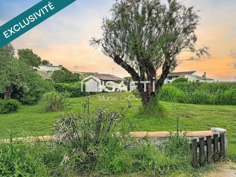 Mazet  51m2 au coeur de la camargue + annexe — photo 1
