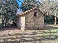 Maison — photo 3