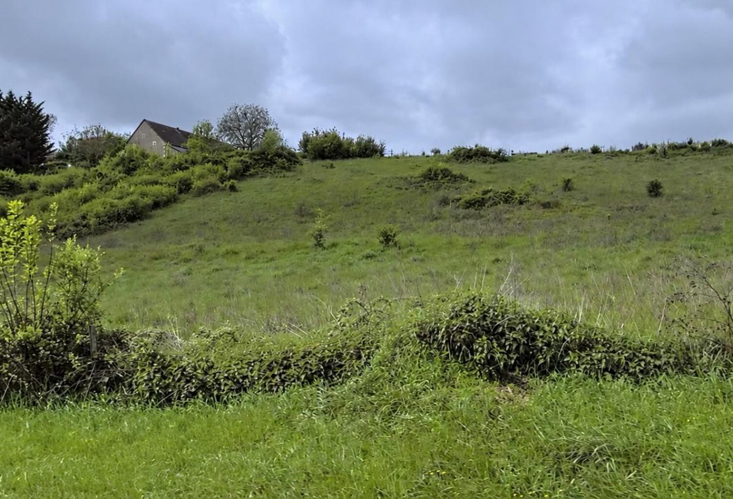 Terrain Nevers 7646 m2 — photo 1
