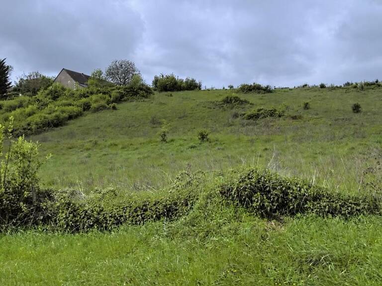 Terrain Nevers 7646 m2 — photo 1