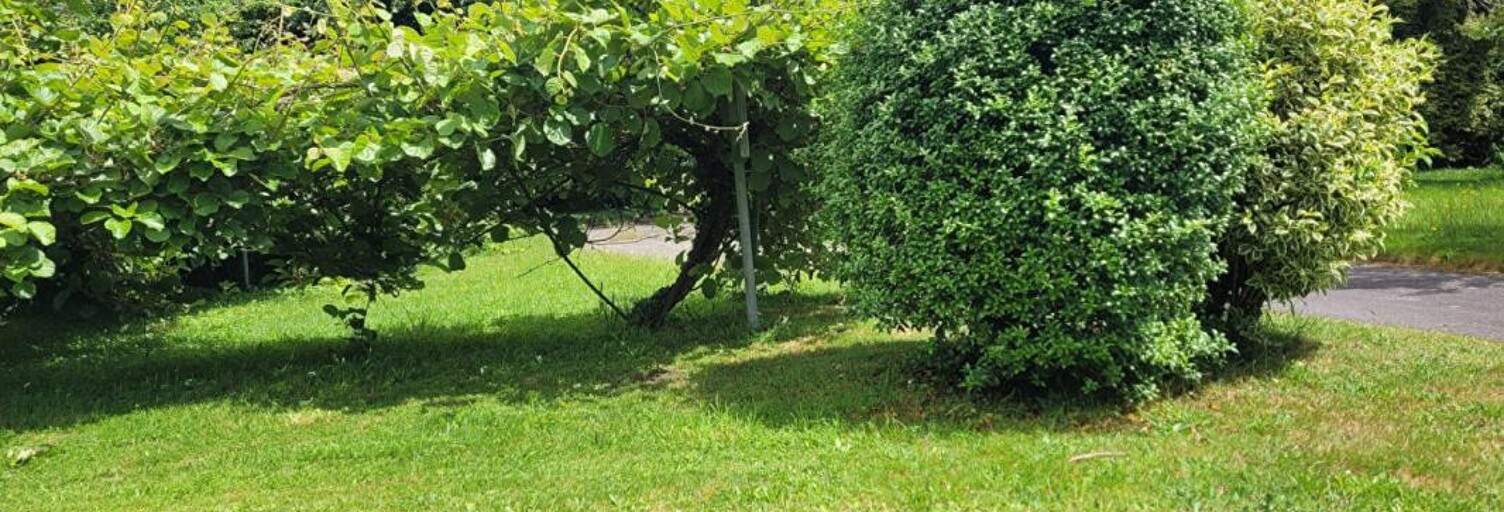 Terrain  1205 m² à vendre à Pleuven (29170)