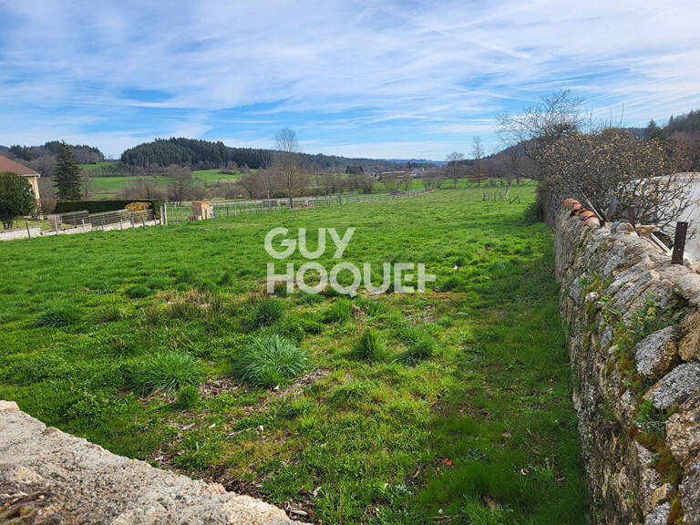 terrain — photo 1