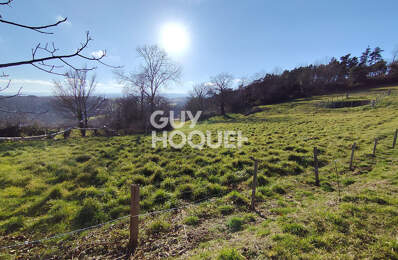 terrain — photo du bien