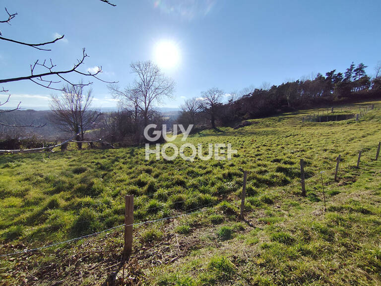 terrain — photo 1