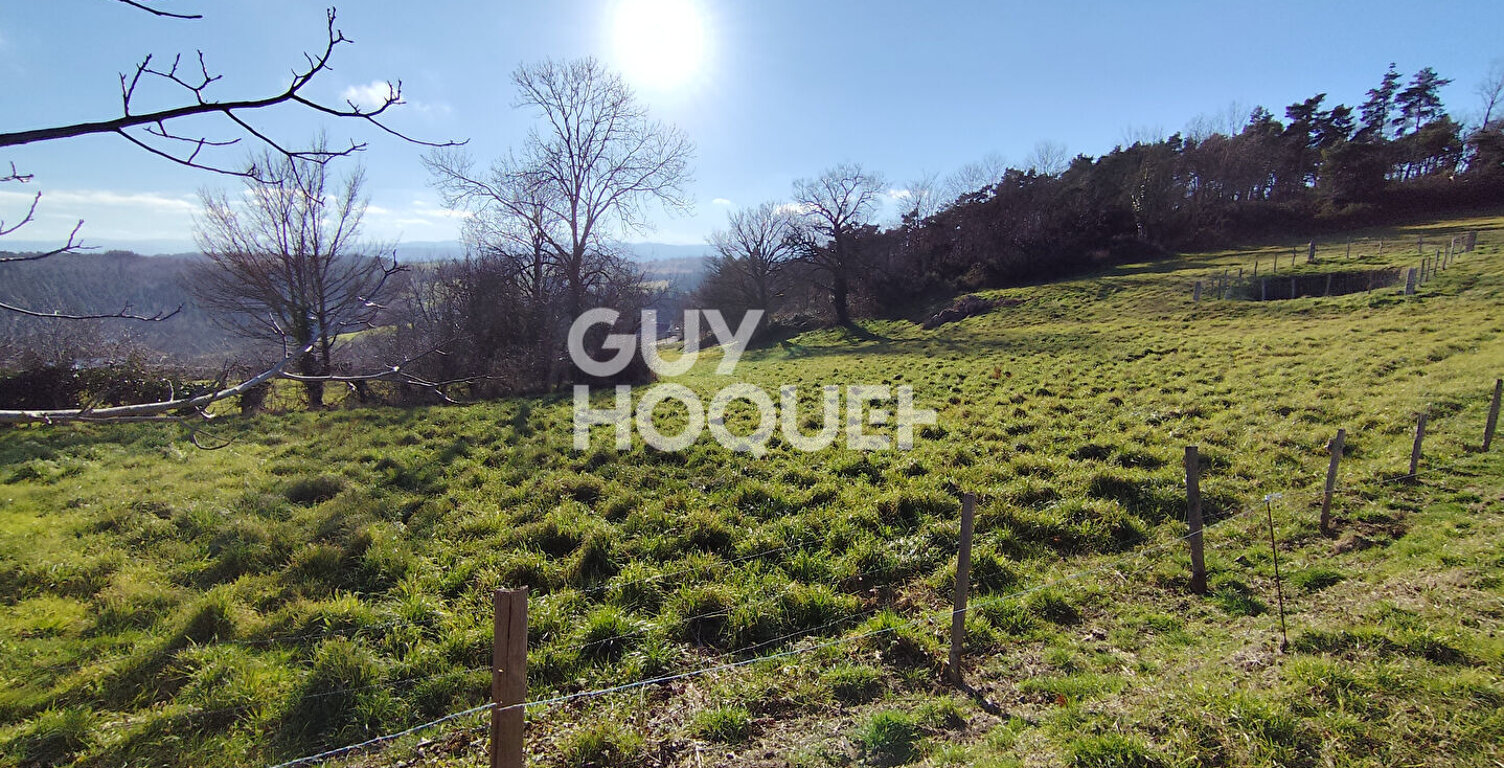 terrain — photo 1