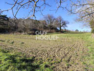 terrain — photo 2