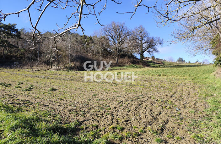 terrain — photo 2