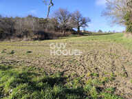 terrain — photo 3