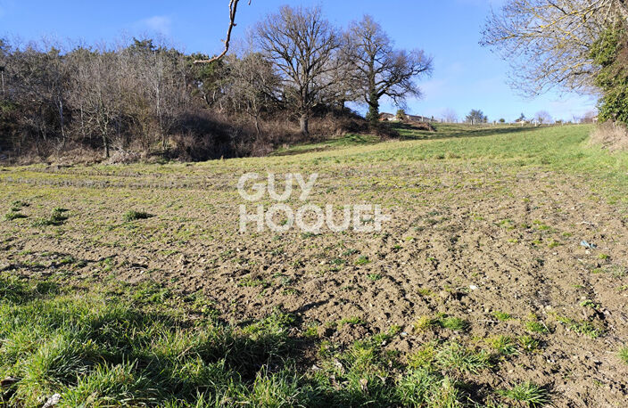 terrain — photo 3