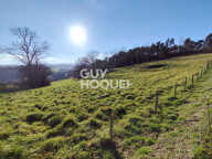 terrain — photo 4
