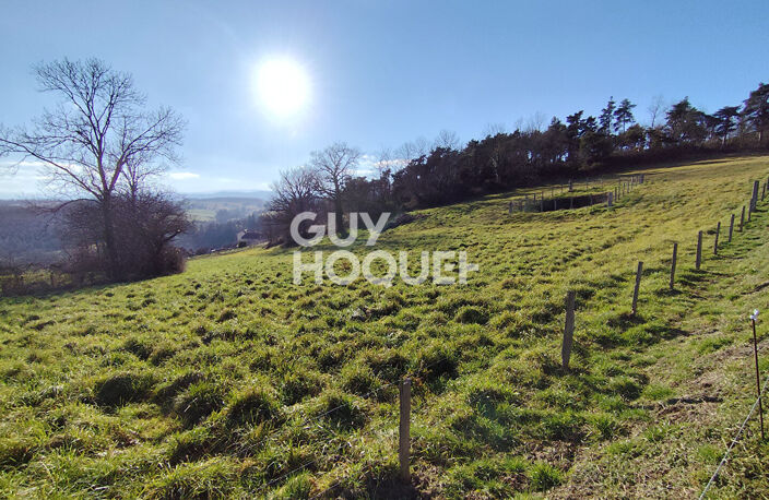 terrain — photo 4