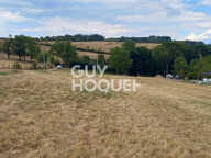terrain — photo 3