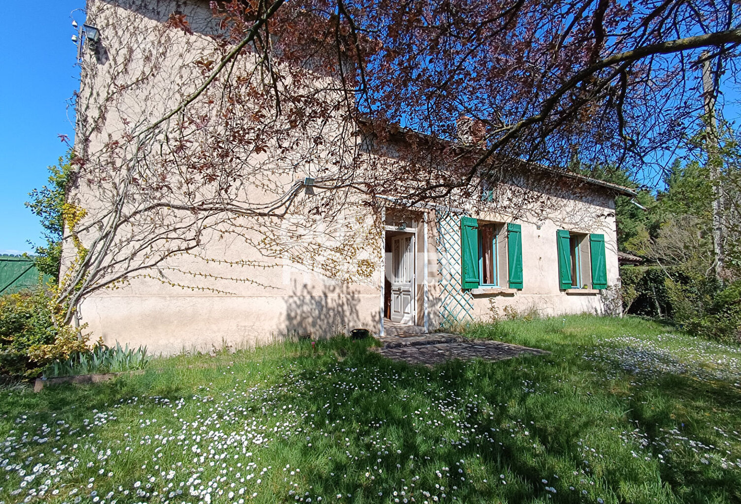 maison — photo 1
