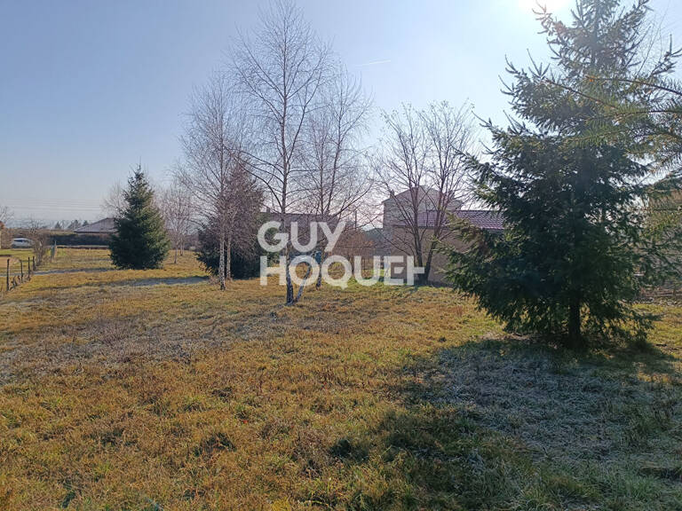 terrain — photo 1