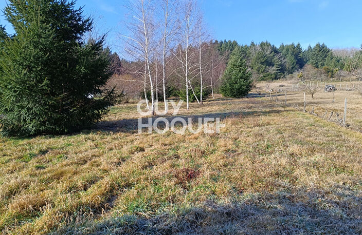 terrain — photo 2