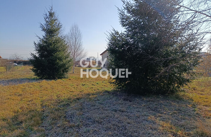 terrain — photo 3