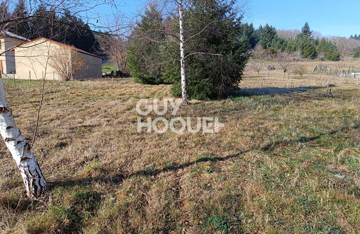 terrain — photo 4