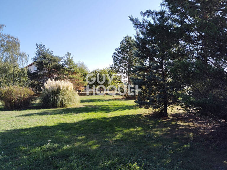 terrain — photo 1