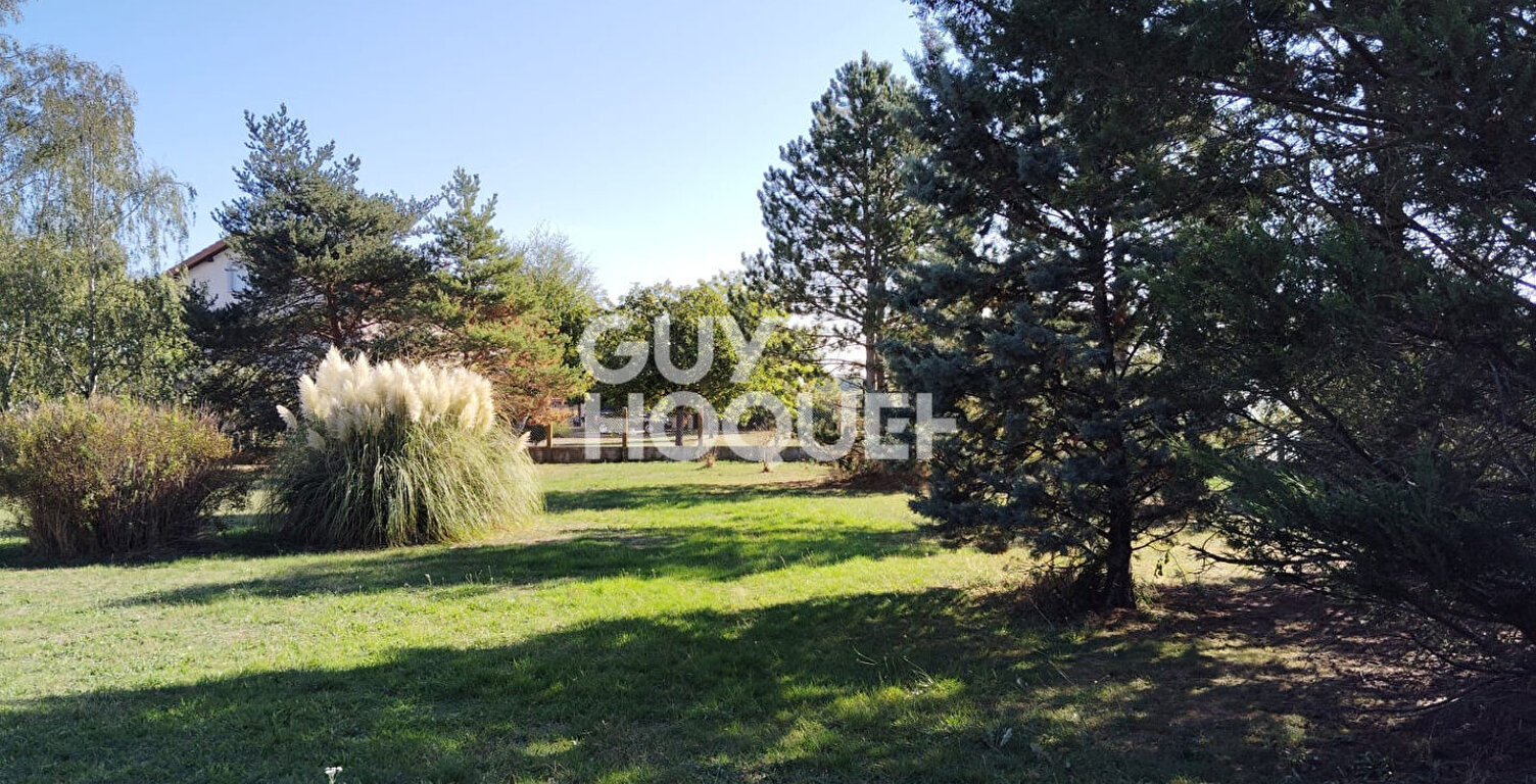 terrain — photo 1