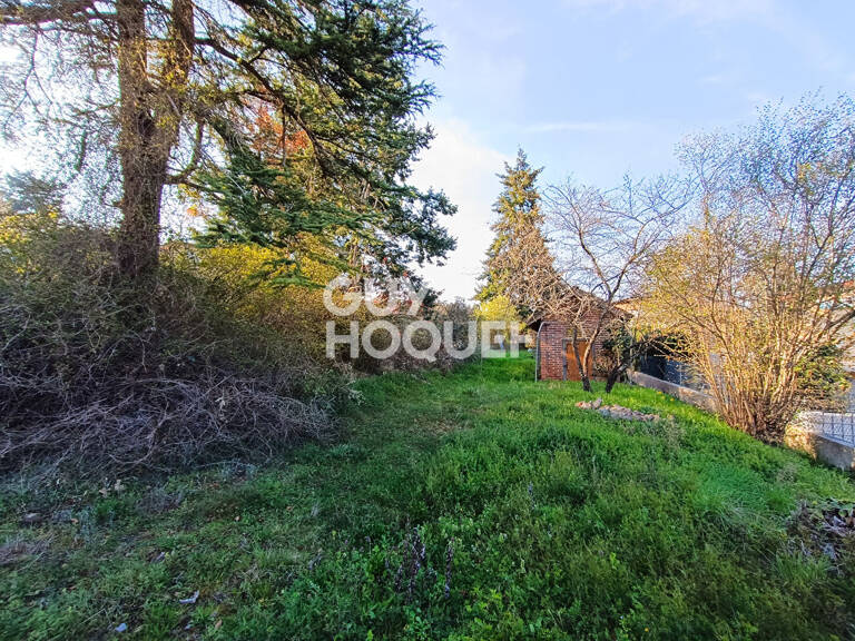 terrain — photo 1