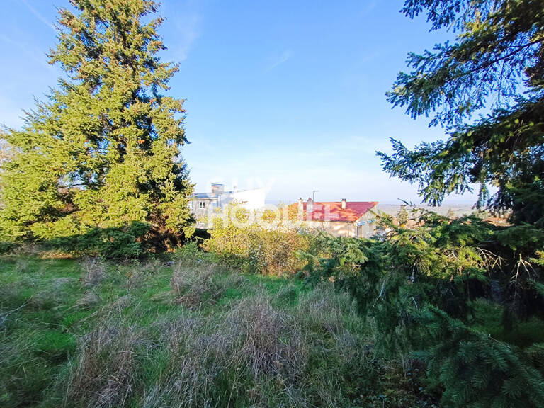 terrain — photo 1
