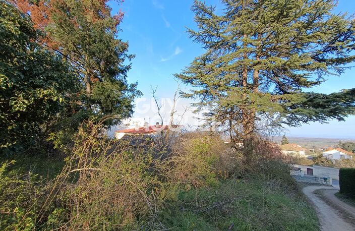terrain — photo 4