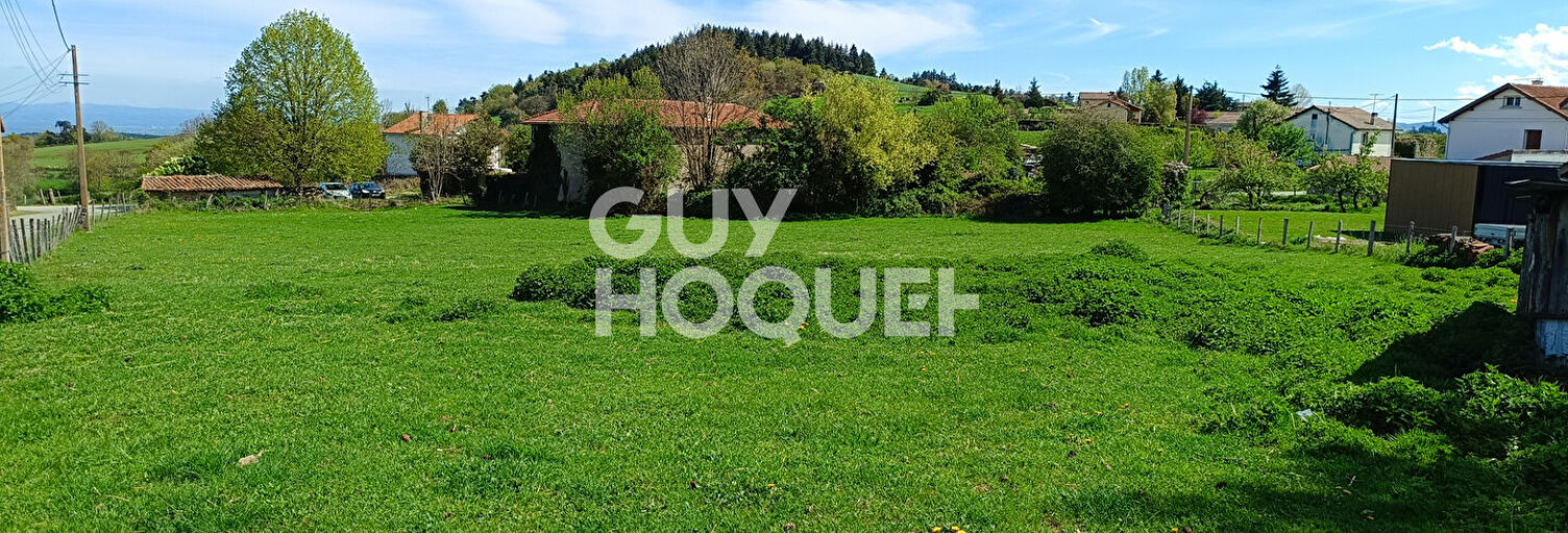 Terrain  2878 m² à vendre à Saint-Martin-la-Sauveté (42260)