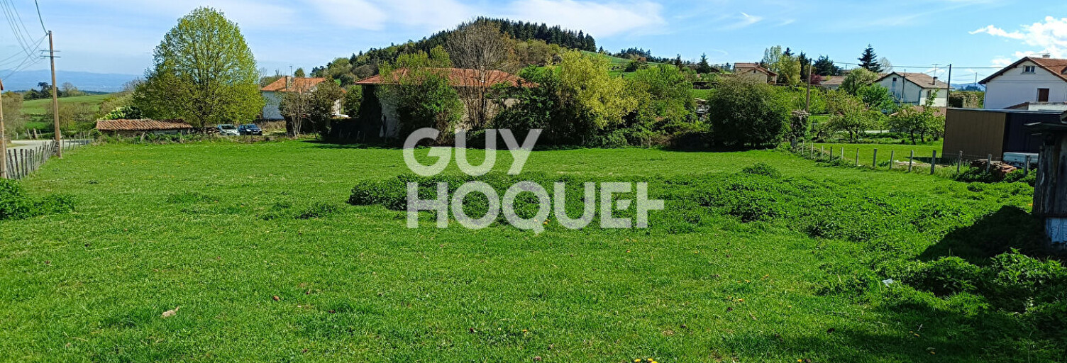 Terrain  2878 m² à vendre à Saint-Martin-la-Sauveté (42260)