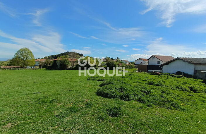 terrain — photo 3