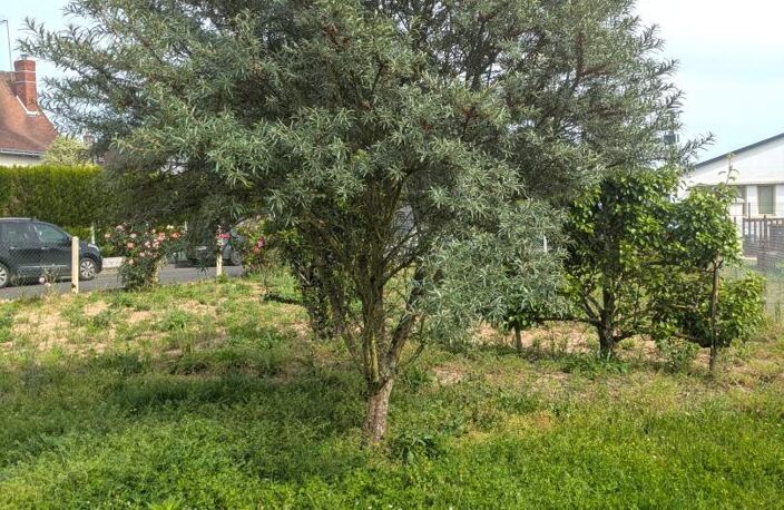 Vente terrain  458 m² Sorigny (37250) — photo 3