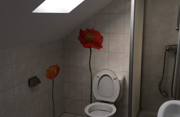 Location appartement 2 pièces 31 m² à Montbazon (37250) — photo 3