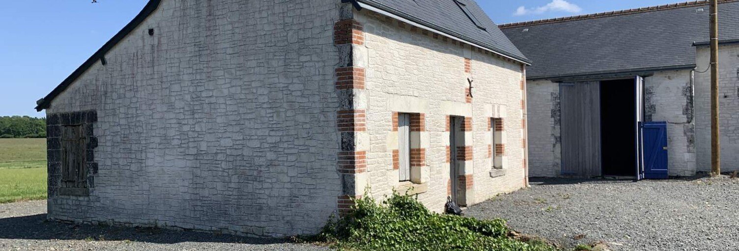 Maison 6 Pièces 250 m² à vendre à Sorigny (37250)