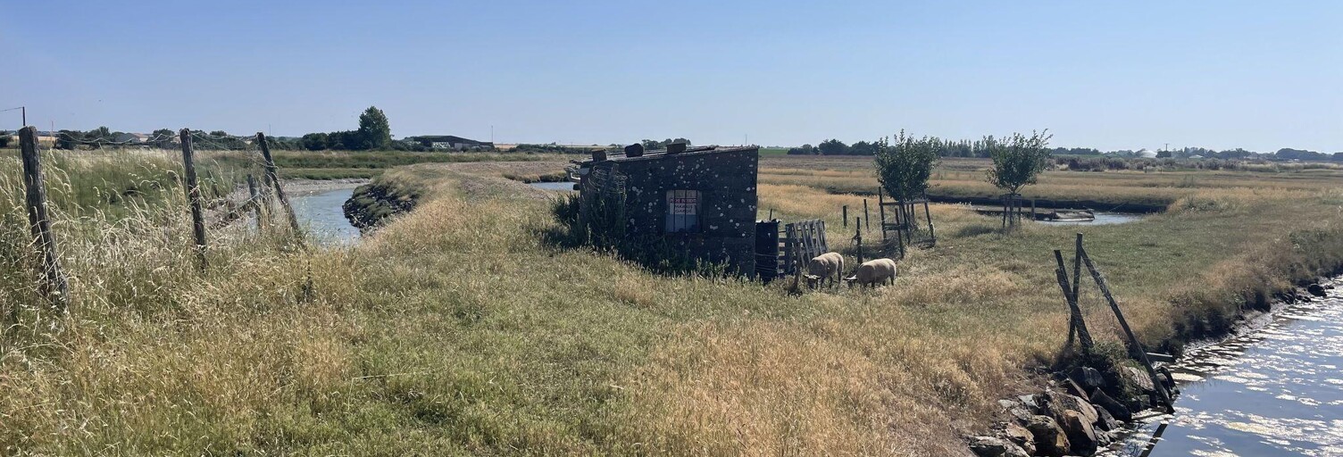 Terrain  17000 m² à vendre à Jard-sur-Mer (85520)