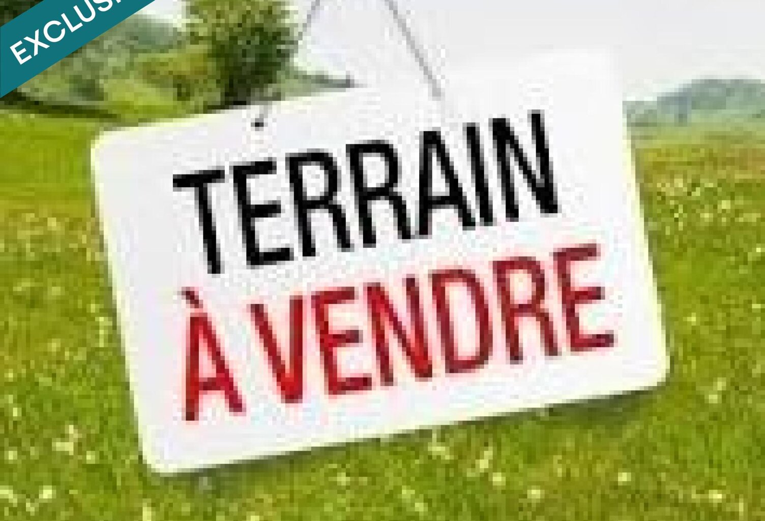 TERRAIN VIABILISE ET BORNE - ST LOUBES — photo 1