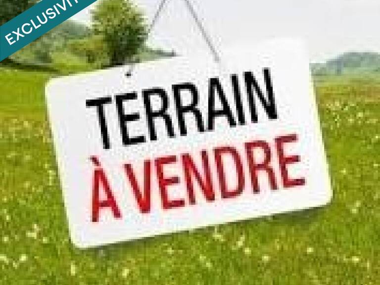 TERRAIN VIABILISE ET BORNE - ST LOUBES — photo 1