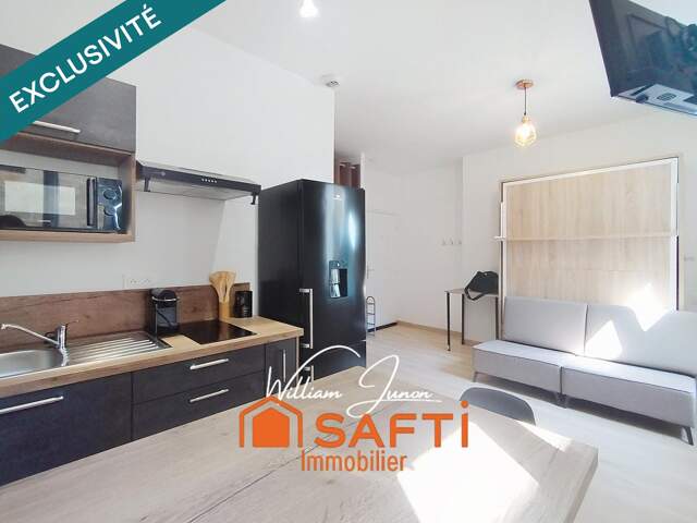 Idéal investisseurs (location meublée) — photo du bien