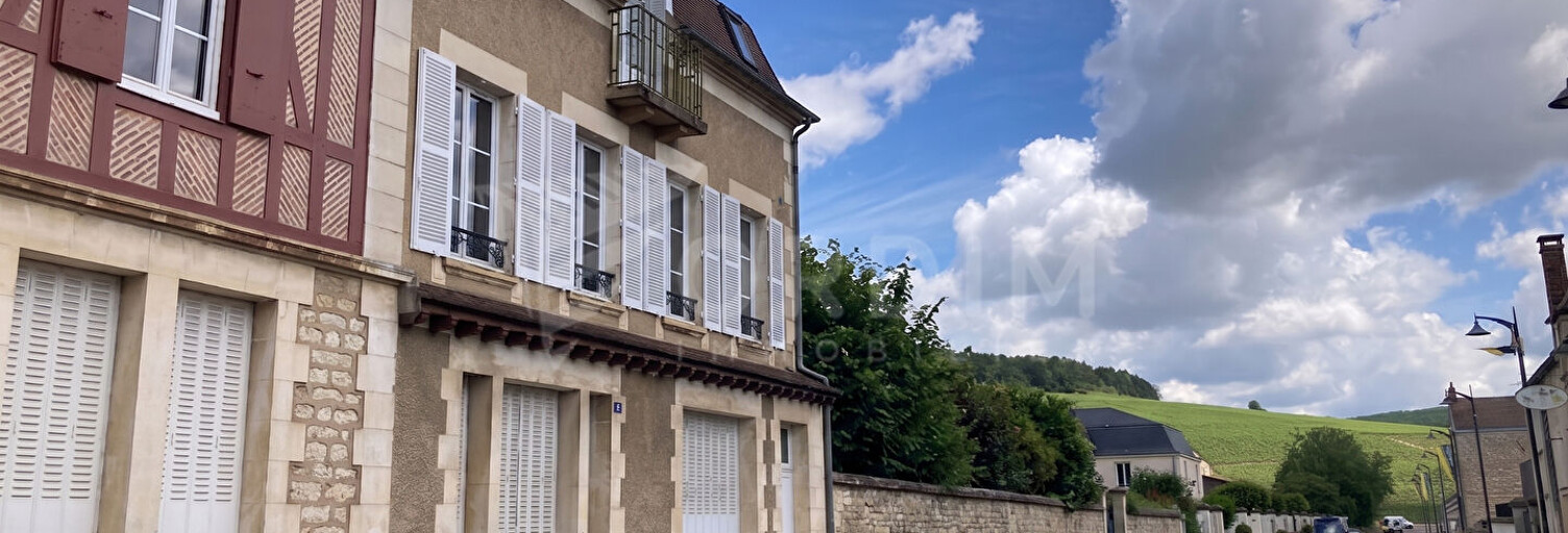 Maison 10 Pièces 235 m² à vendre à Chablis (89800)