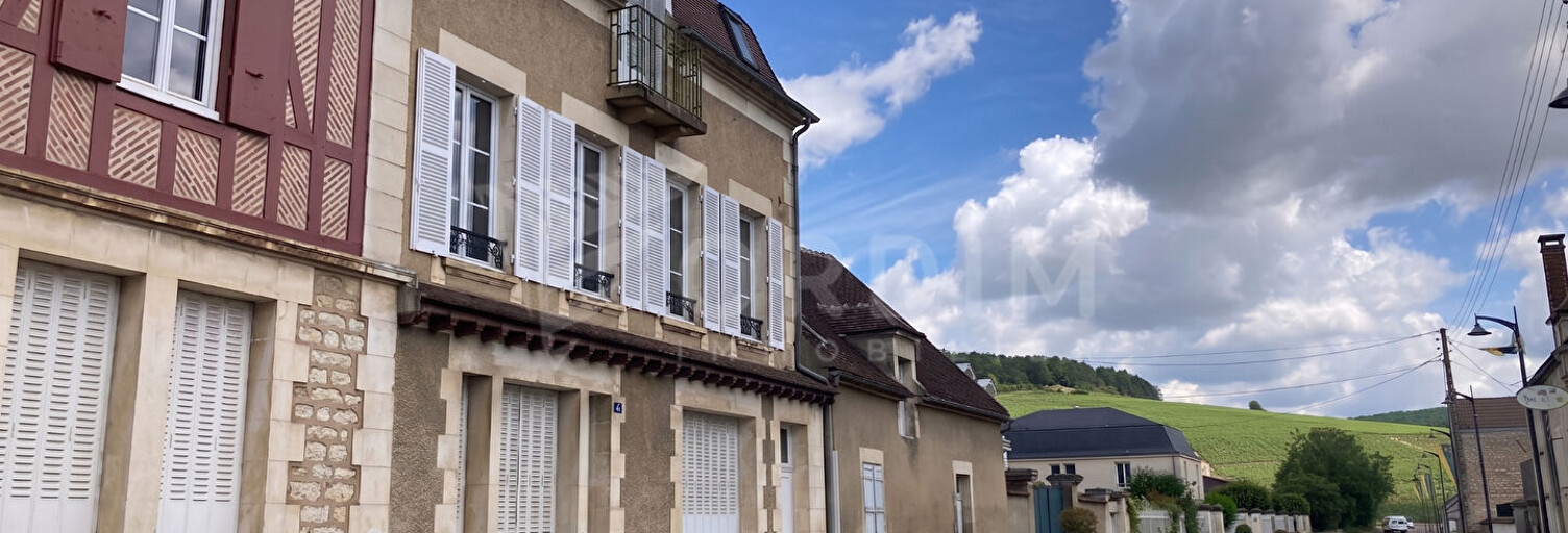 Maison 10 Pièces 235 m² à vendre à Chablis (89800)
