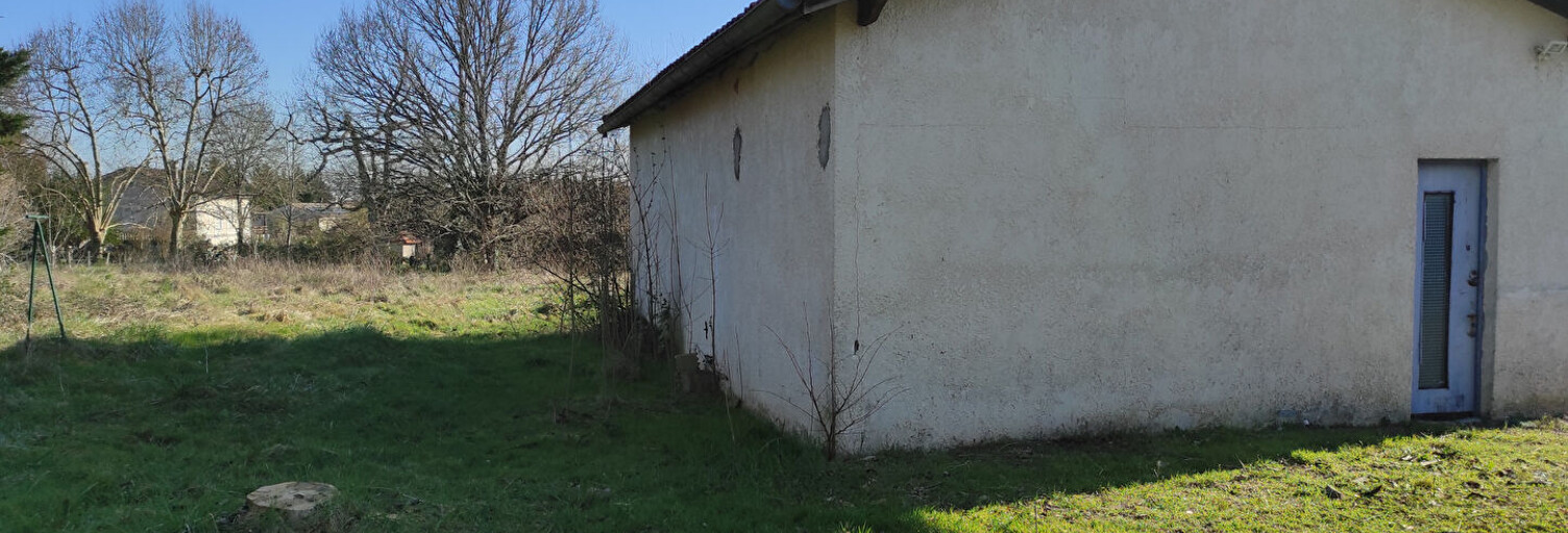 Photo N° 2