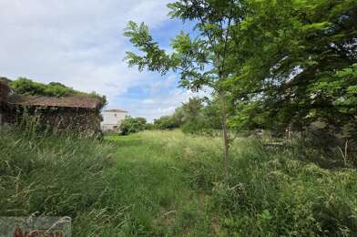 Terrain  70000 €