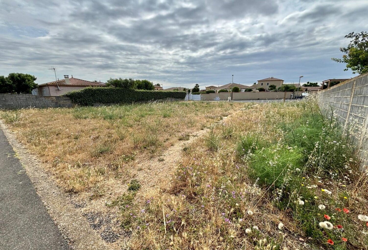 Terrain — photo 1